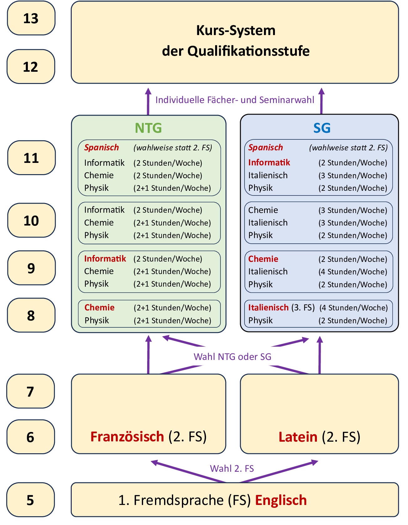 Grafik: Ausbildungsrichtungen