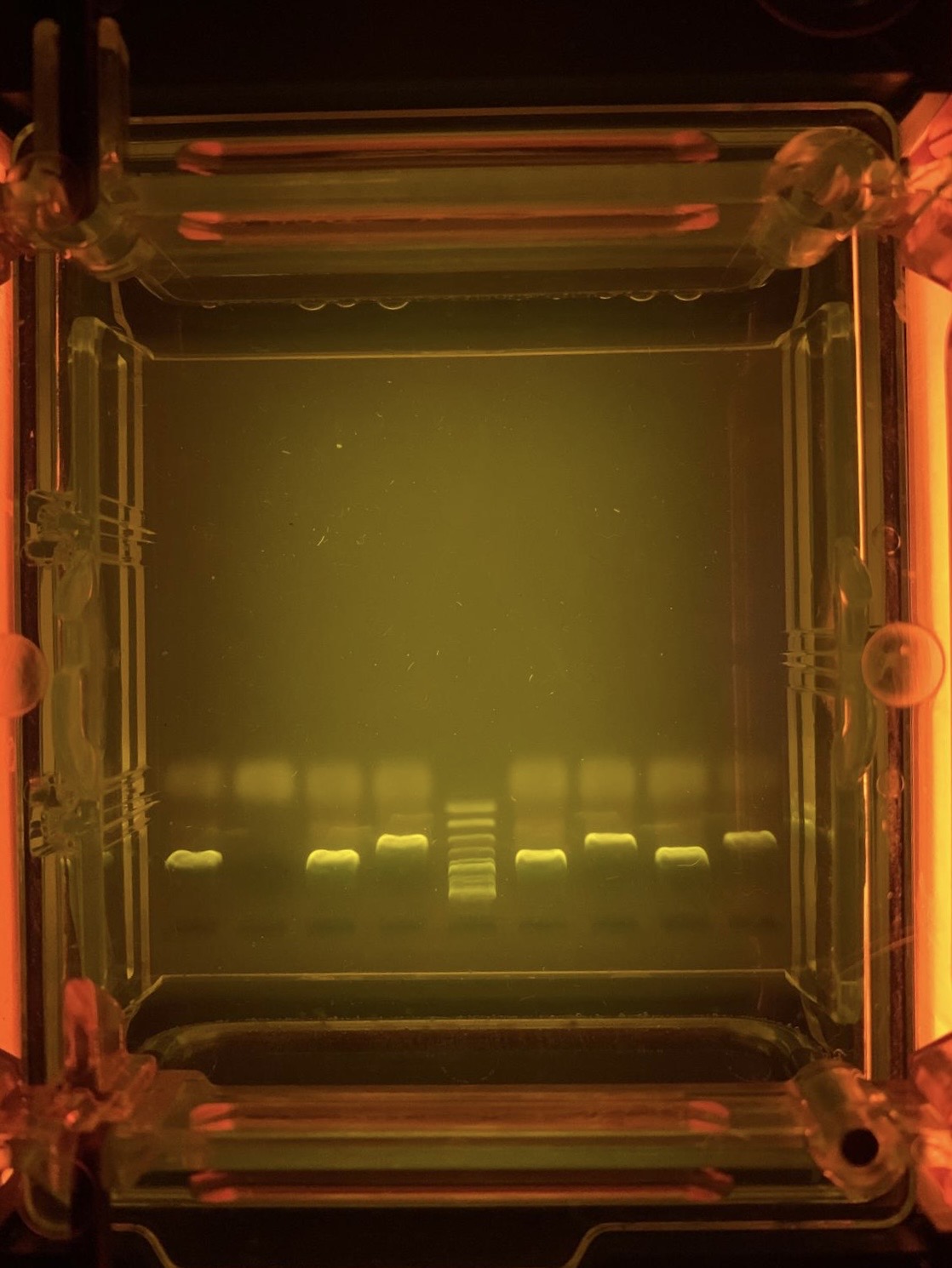 Biotech-Praktukum3